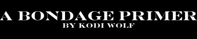 A Bondage Primer: 180 Days by Kodi Wolf